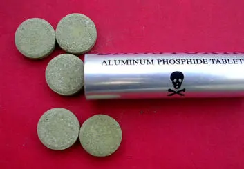 قرص برنج، سم خاموشی که نباید در خانه نگهداری شود