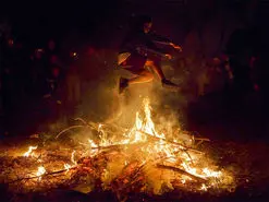 چهارشنبه‌سوری با چاشنی ترس حیوانات و آسیب به محیط زیست