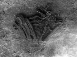 قدیمی ترین مومیایی جهان چند سال دارد؟