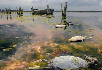 پتروشیمی میانکاله، فاجعه‌ای برای محیط زیست