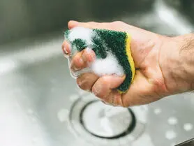 آلودگی اسفنج آشپزخانه؛ از شایعه تا حقیقت