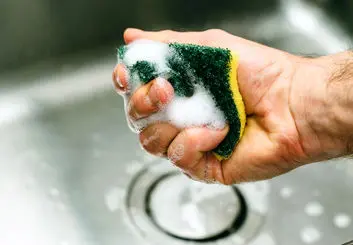 آلودگی اسفنج آشپزخانه؛ از شایعه تا حقیقت