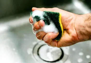آلودگی اسفنج آشپزخانه؛ از شایعه تا حقیقت