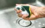 آلودگی اسفنج آشپزخانه؛ از شایعه تا حقیقت