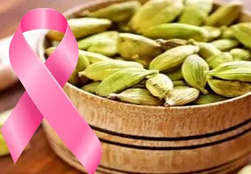 تاثیر مثبت هل در درمان سرطان سینه