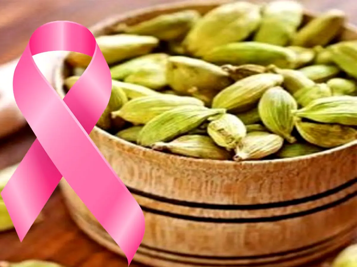 تاثیر مثبت هل در درمان سرطان سینه
