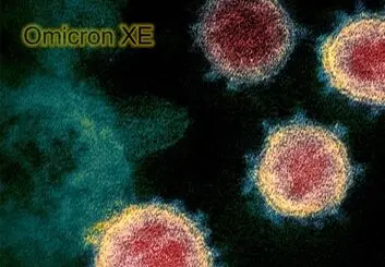 زیرسویه EX امیکرون، علائم و شدت بیماری