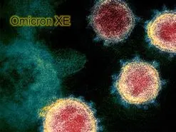 زیرسویه EX امیکرون، علائم و شدت بیماری