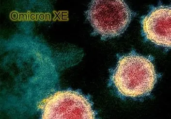 زیرسویه EX امیکرون، علائم و شدت بیماری