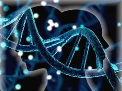 ژن بروز اختلال دوقطبی کشف شد