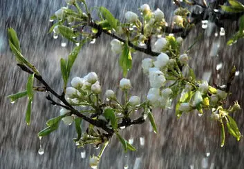 هشدار نارنجی سازمان هواشناسی برای 4 و 5 فروردین‌ماه