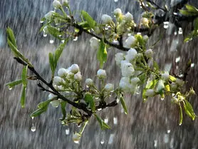 هشدار نارنجی سازمان هواشناسی برای 4 و 5 فروردین‌ماه