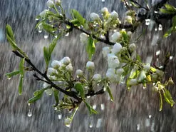 هشدار نارنجی سازمان هواشناسی برای 4 و 5 فروردین‌ماه