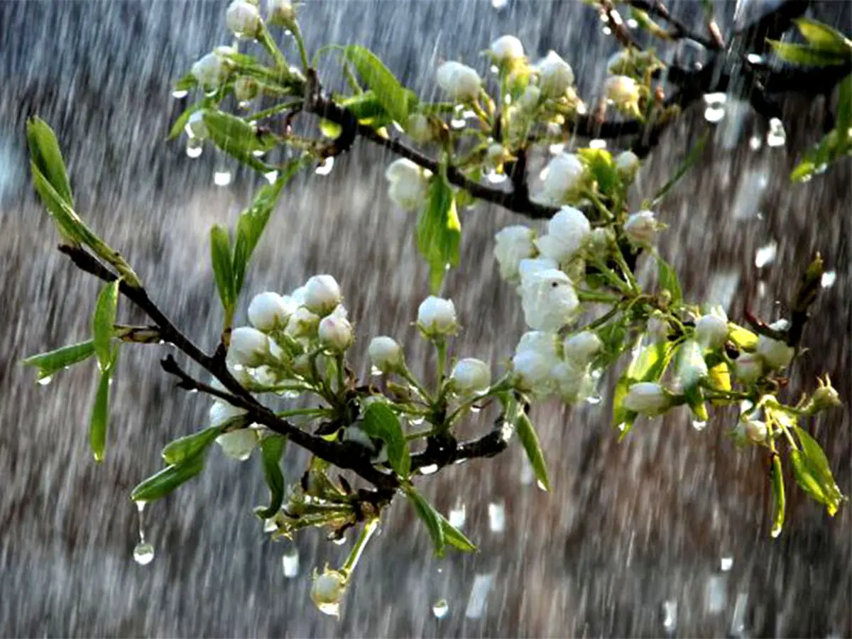 هشدار نارنجی سازمان هواشناسی برای 4 و 5 فروردین‌ماه