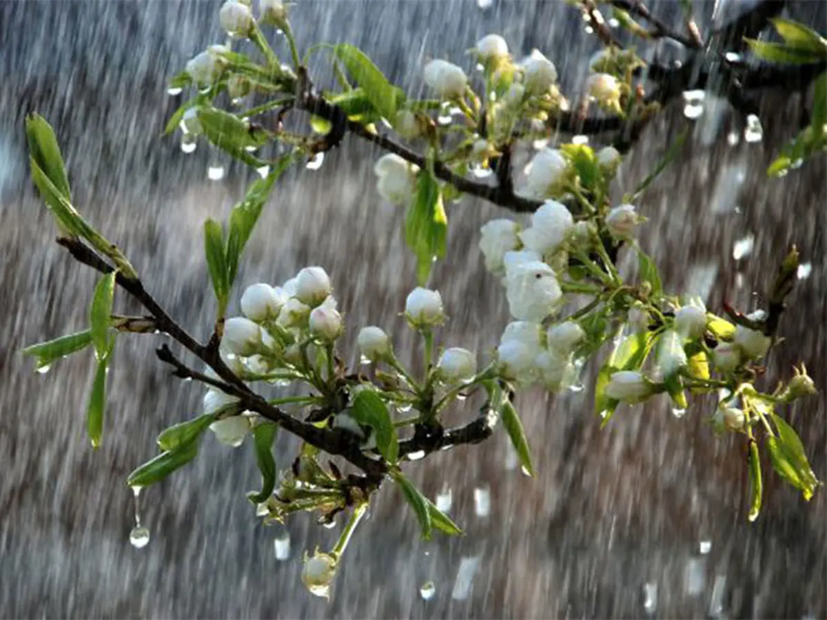 هشدار نارنجی سازمان هواشناسی برای 4 و 5 فروردین‌ماه