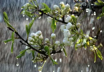 هشدار نارنجی سازمان هواشناسی برای 4 و 5 فروردین‌ماه