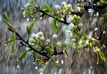 هشدار نارنجی سازمان هواشناسی برای 4 و 5 فروردین‌ماه