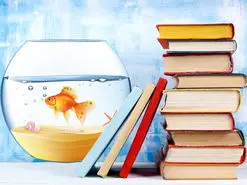 عیدی برای تهرانی‌ها | تعویض ماهی سفره هفت سین با کتاب