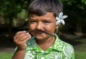 محبوب ترین بوها بین مردم جهان کدامند؟