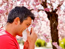 آلرژی بهاری و تشخیص علائم آن از کرونا
