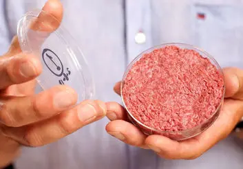 تلاش دانشمندان برای تولید گوشت مصنوعی در فضا