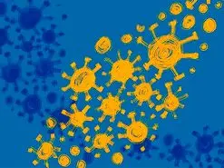 سرعت بیشتر انتقال در ۲ زیرسویه جدید امیکرون تایید شد