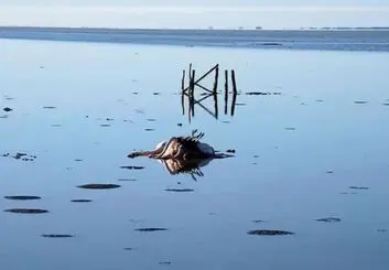 توقف پروژه پتروشیمی میانکاله تا اطلاع ثانوی