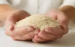 گرانی برنج در سال ۱۴۰۱ ادامه دارد | عبور برنج ایرانی از ۱۰۰ هزار تومان