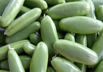 بازگرداندن بذرهای فضایی به زمین برای کاشت