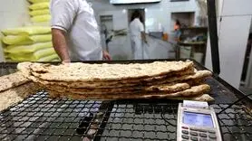 کنایه نماینده مجلس به استفاده دولت از هوش مصنوعی در رصد خریداران نان