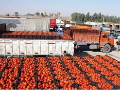 ممنوعیت صادرات ۴ محصول کشاورزی اعلام شد