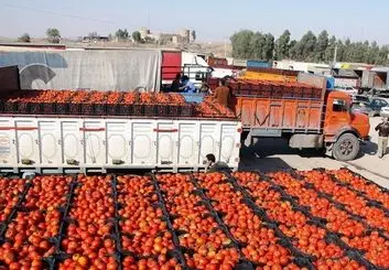 ممنوعیت صادرات ۴ محصول کشاورزی اعلام شد