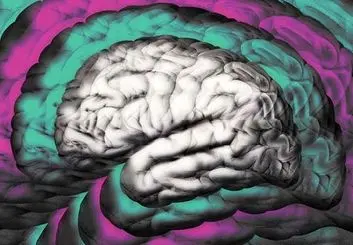 ضریب هوشی(IQ) چیست و چطور تعیین می شود؟