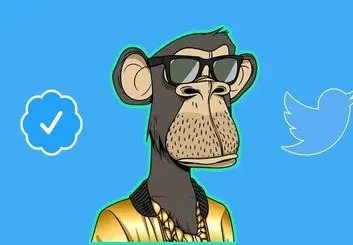 شخصیت شناسی کاربران از روی عکس پروفایل آنها