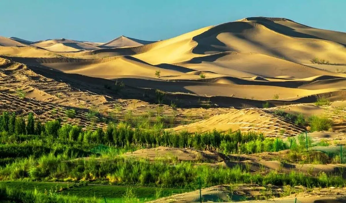 چطور چین با پروژه کمربند سبز شمال، معضل ریزگردها و آلودگی هوا را حل کرد؟