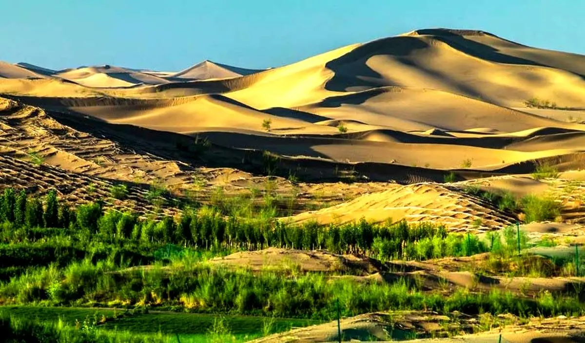 چطور چین با پروژه کمربند سبز شمال، معضل ریزگردها و آلودگی هوا را حل کرد؟