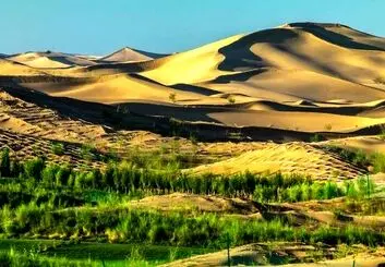 چطور چین با پروژه کمربند سبز شمال، معضل ریزگردها و آلودگی هوا را حل کرد؟