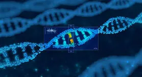 تولید جنین مصنوعی انسان از DNA