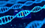 تولید جنین مصنوعی انسان از DNA