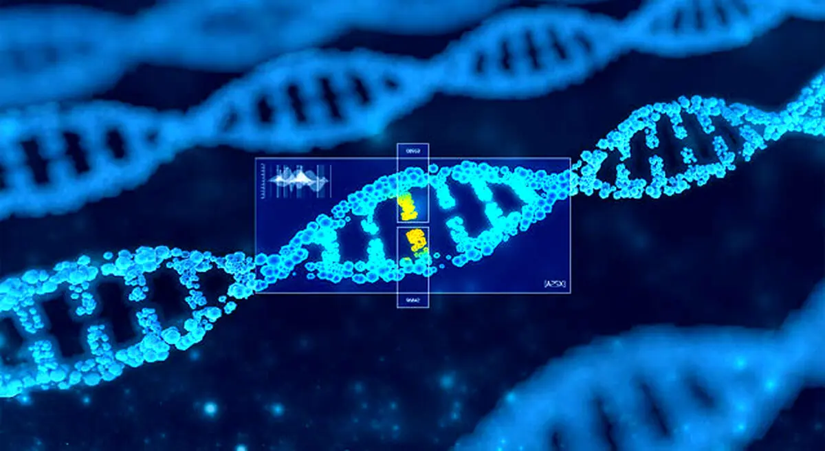 تولید جنین مصنوعی انسان از DNA