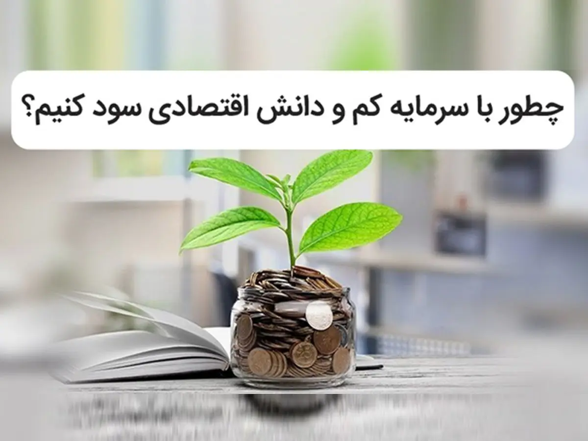 چطور با سرمایه کم و دانش اقتصادی سود کنیم؟