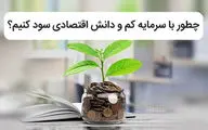 چطور با سرمایه کم و دانش اقتصادی سود کنیم؟