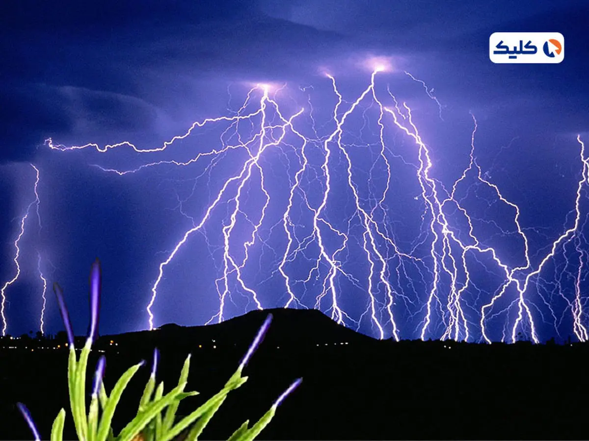 تاثیر جرقه‌زدن گیاهان در هنگام رعد و برق بر کیفیت هوا!