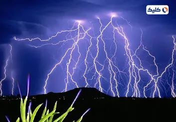 تاثیر جرقه‌زدن گیاهان در هنگام رعد و برق بر کیفیت هوا!