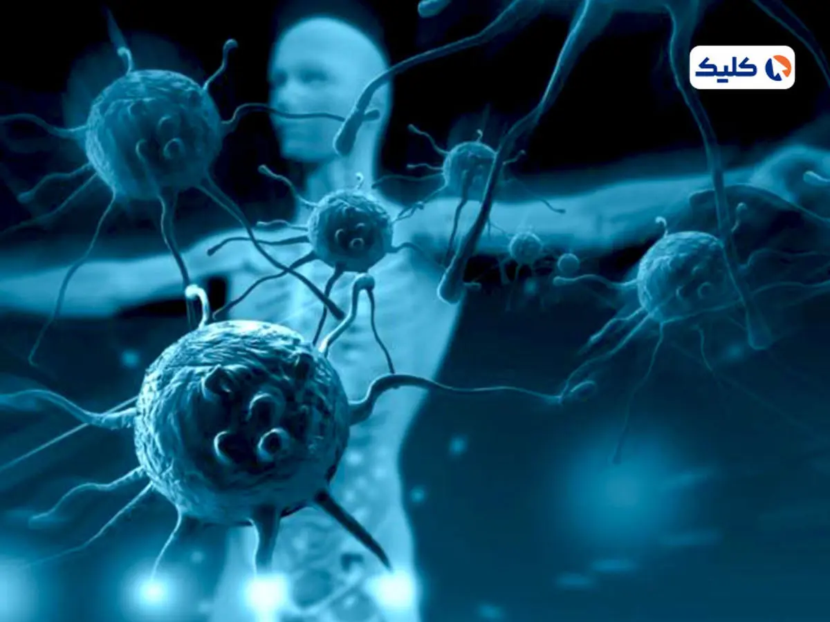 با یک پروتئین مهندسی شده می توان از بروز بیماری ‌های خودایمنی جلوگیری کرد