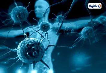 با یک پروتئین مهندسی شده می توان از بروز بیماری ‌های خودایمنی جلوگیری کرد