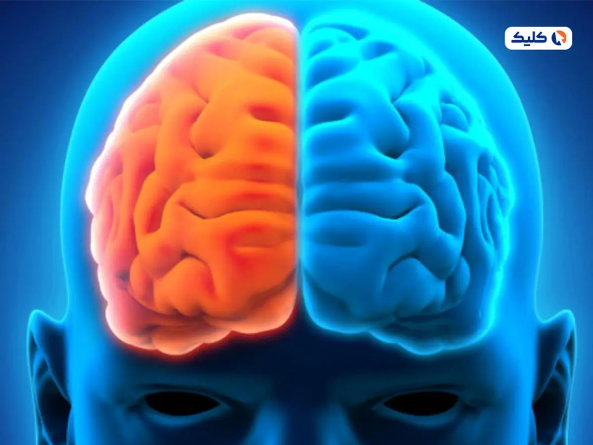 برداشتن نیمی از مغز، عملکرد آن را نصف نمی‌کند