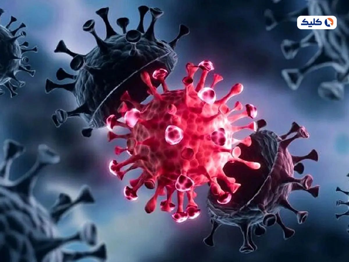 ویروس ترکیبی (هیبریدی جدید) آنفولانزا و RSV کشف شد