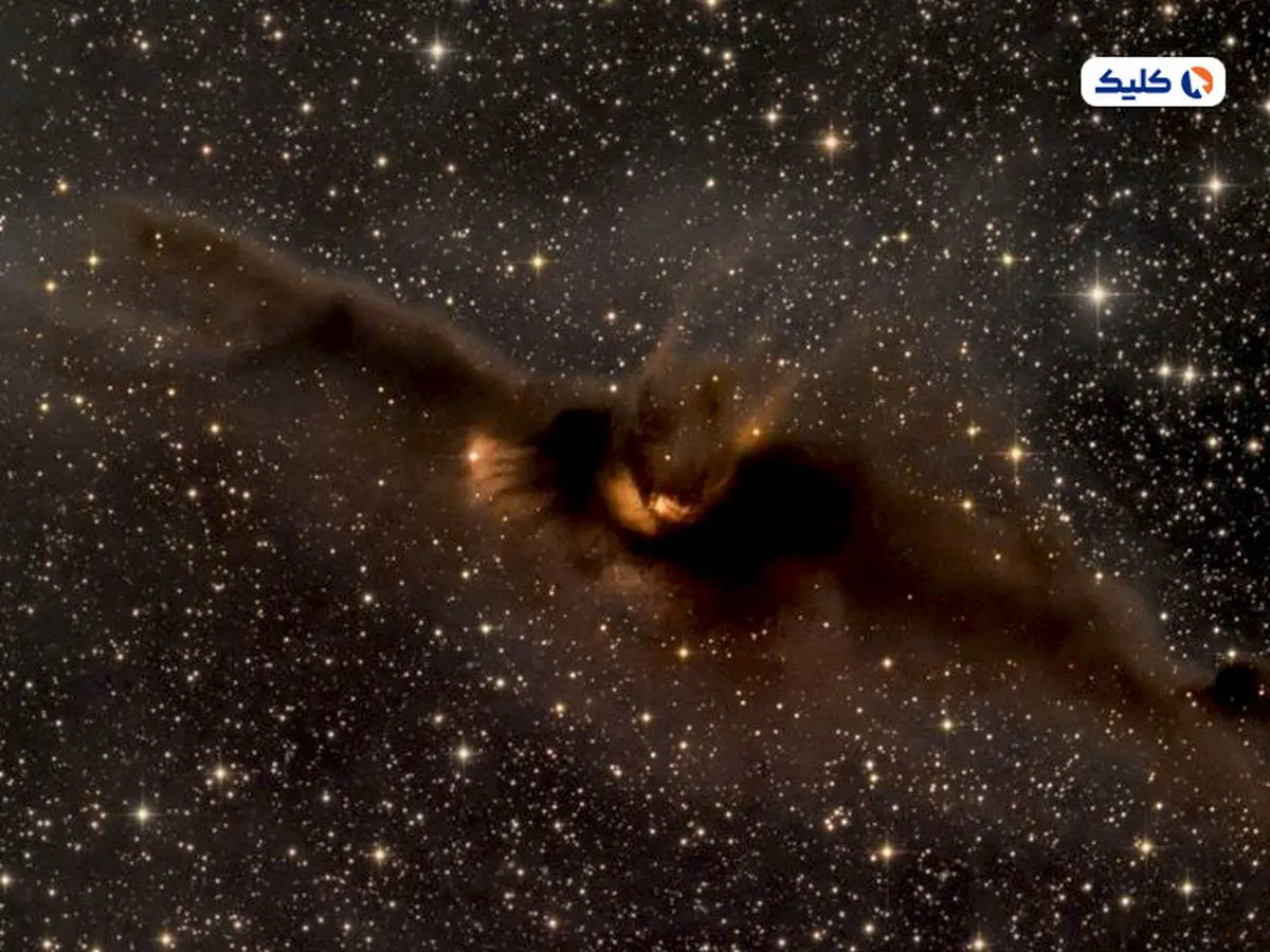 ناسا از یک خفاش شوم فضایی رونمایی کرد