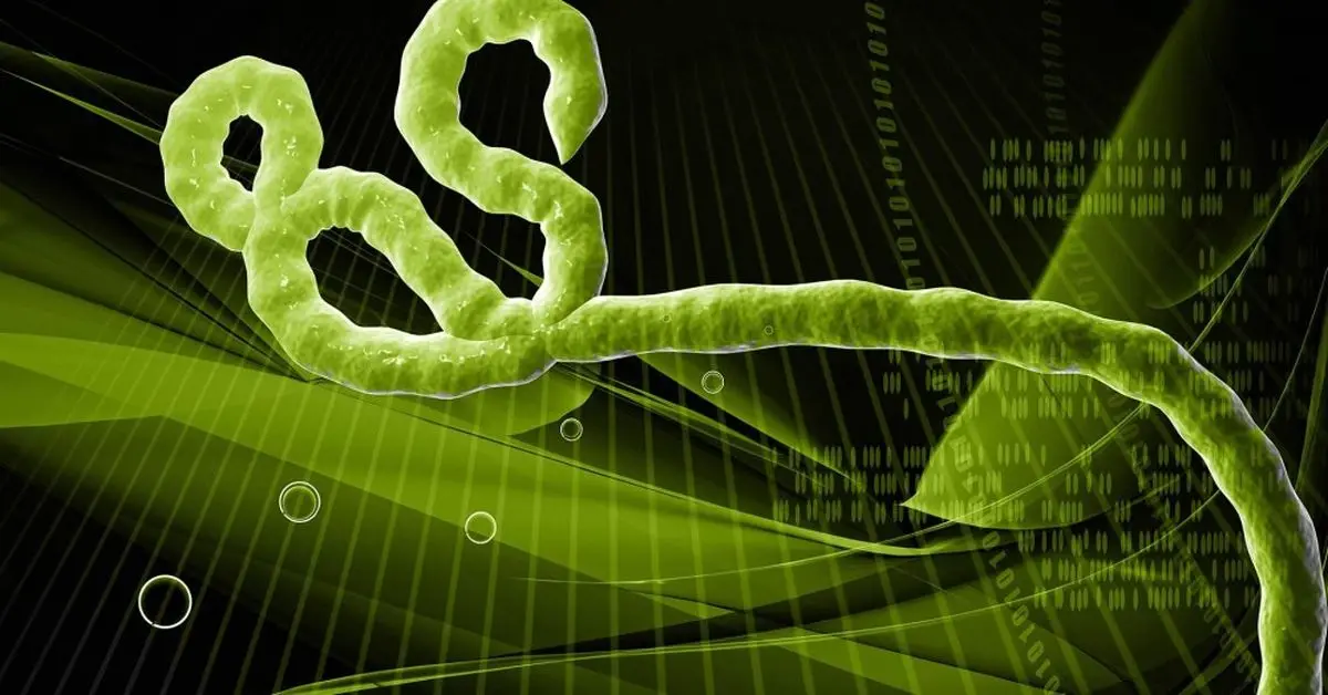 واکسنی جدید برای ویروس ابولا